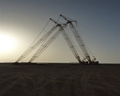 Crawler Cranes